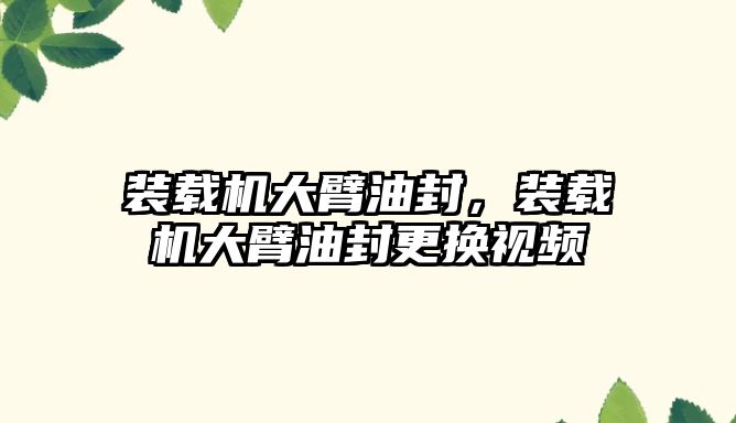 裝載機(jī)大臂油封，裝載機(jī)大臂油封更換視頻