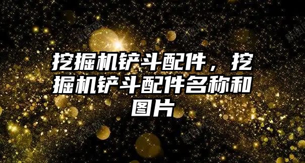 挖掘機(jī)鏟斗配件，挖掘機(jī)鏟斗配件名稱(chēng)和圖片