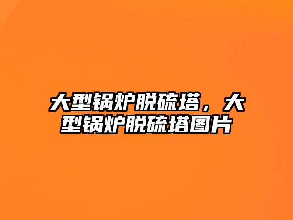 大型鍋爐脫硫塔，大型鍋爐脫硫塔圖片
