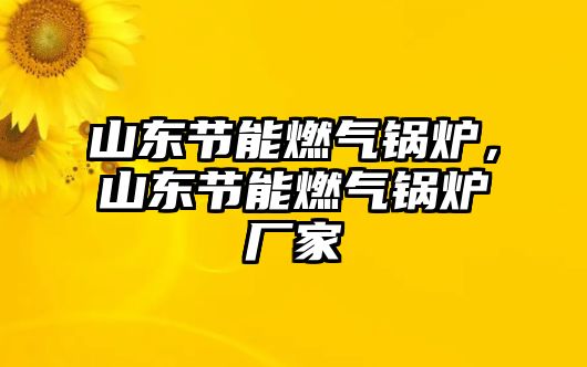 山東節(jié)能燃?xì)忮仩t，山東節(jié)能燃?xì)忮仩t廠家