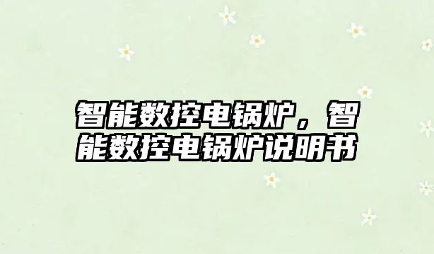 智能數(shù)控電鍋爐，智能數(shù)控電鍋爐說明書