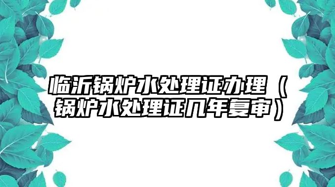 臨沂鍋爐水處理證辦理（鍋爐水處理證幾年復(fù)審）