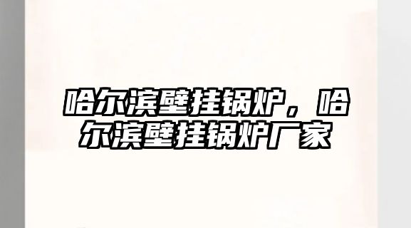 哈爾濱壁掛鍋爐，哈爾濱壁掛鍋爐廠家