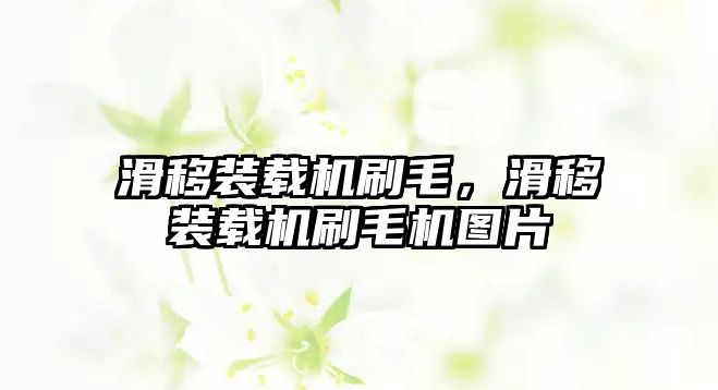 滑移裝載機刷毛，滑移裝載機刷毛機圖片