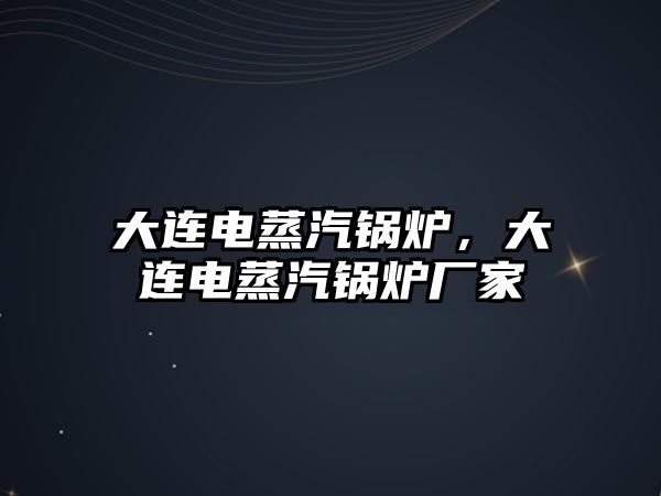 大連電蒸汽鍋爐，大連電蒸汽鍋爐廠家