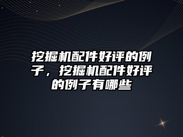 挖掘機(jī)配件好評的例子，挖掘機(jī)配件好評的例子有哪些