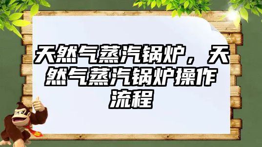 天然氣蒸汽鍋爐，天然氣蒸汽鍋爐操作流程