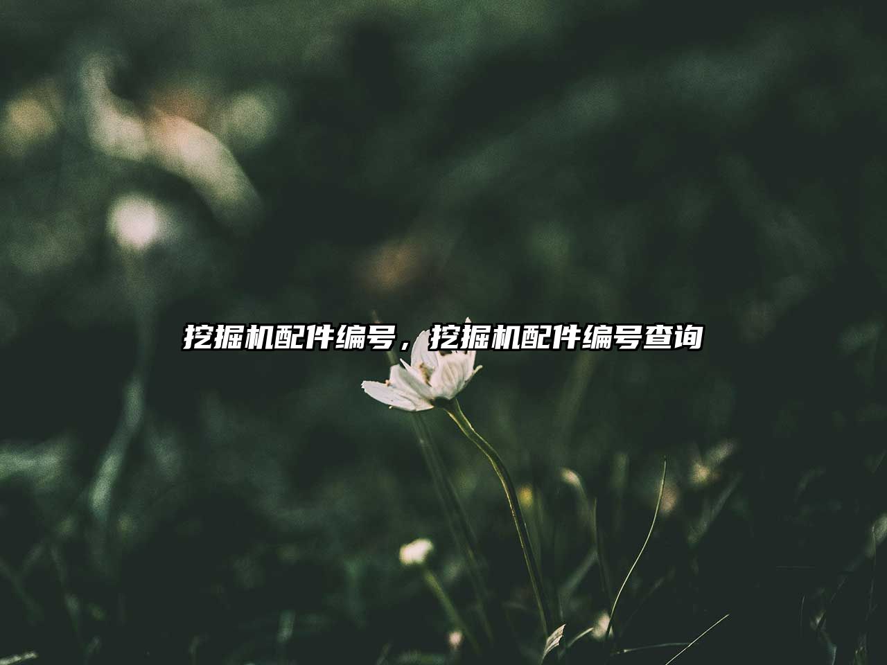 挖掘機配件編號，挖掘機配件編號查詢