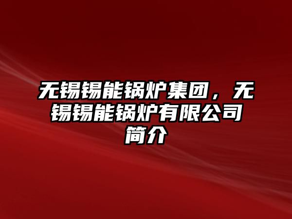 無錫錫能鍋爐集團(tuán)，無錫錫能鍋爐有限公司簡(jiǎn)介
