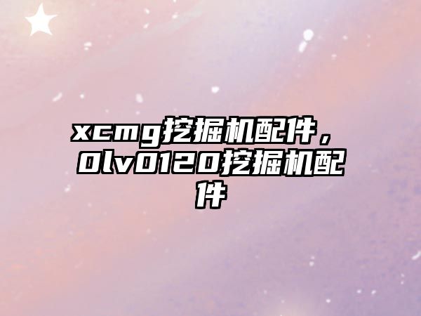 xcmg挖掘機(jī)配件，ⅴ0lv0120挖掘機(jī)配件