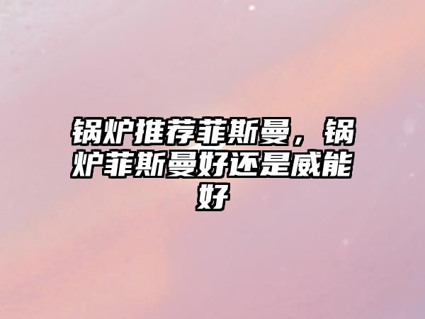 鍋爐推薦菲斯曼，鍋爐菲斯曼好還是威能好