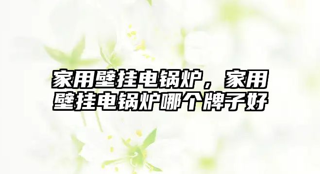家用壁掛電鍋爐，家用壁掛電鍋爐哪個牌子好