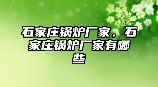 石家莊鍋爐廠家，石家莊鍋爐廠家有哪些