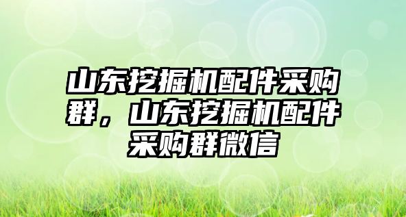 山東挖掘機配件采購群，山東挖掘機配件采購群微信