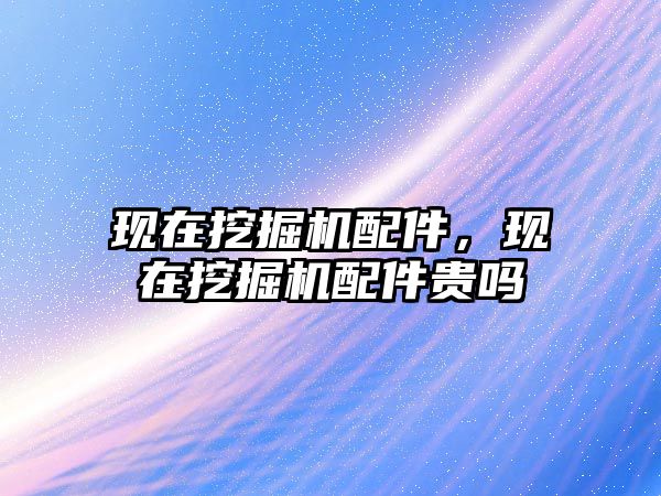 現(xiàn)在挖掘機配件，現(xiàn)在挖掘機配件貴嗎
