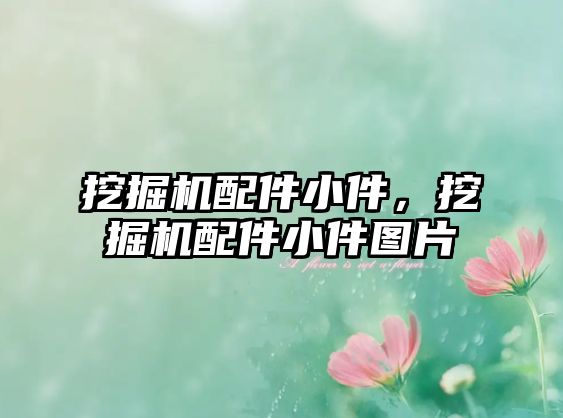 挖掘機(jī)配件小件，挖掘機(jī)配件小件圖片