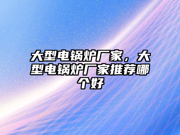大型電鍋爐廠家，大型電鍋爐廠家推薦哪個好