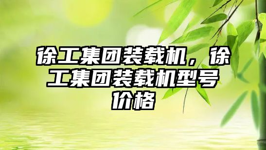徐工集團(tuán)裝載機(jī)，徐工集團(tuán)裝載機(jī)型號價(jià)格