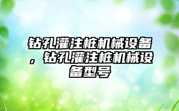 鉆孔灌注樁機械設備，鉆孔灌注樁機械設備型號