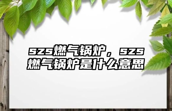 szs燃?xì)忮仩t，szs燃?xì)忮仩t是什么意思