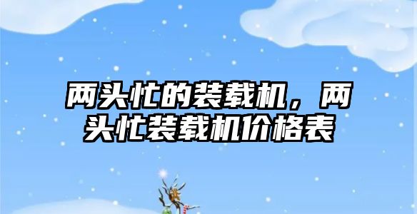 兩頭忙的裝載機(jī)，兩頭忙裝載機(jī)價(jià)格表