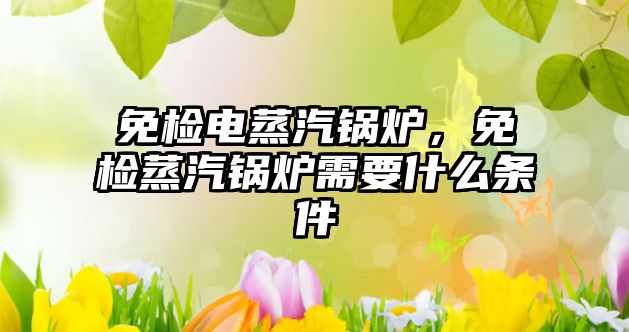 免檢電蒸汽鍋爐，免檢蒸汽鍋爐需要什么條件