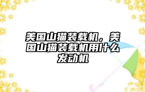 美國(guó)山貓裝載機(jī)，美國(guó)山貓裝載機(jī)用什么發(fā)動(dòng)機(jī)