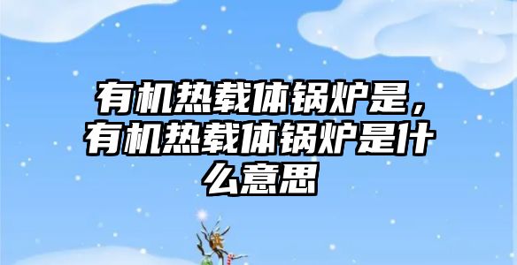 有機(jī)熱載體鍋爐是，有機(jī)熱載體鍋爐是什么意思