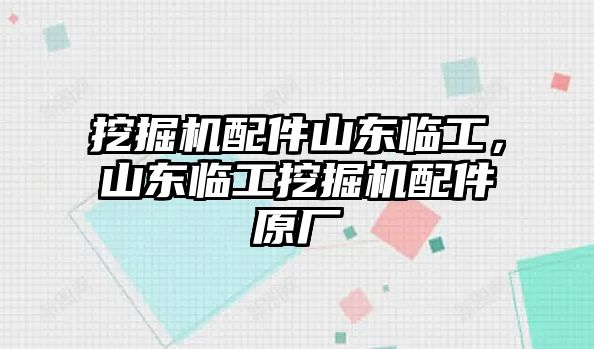 挖掘機配件山東臨工，山東臨工挖掘機配件原廠