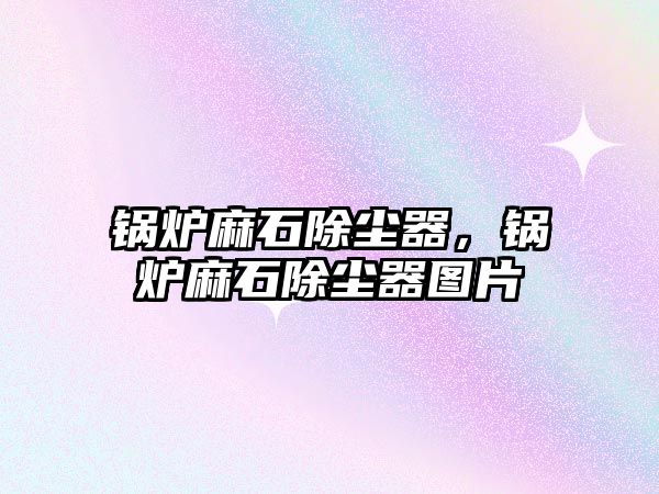 鍋爐麻石除塵器，鍋爐麻石除塵器圖片