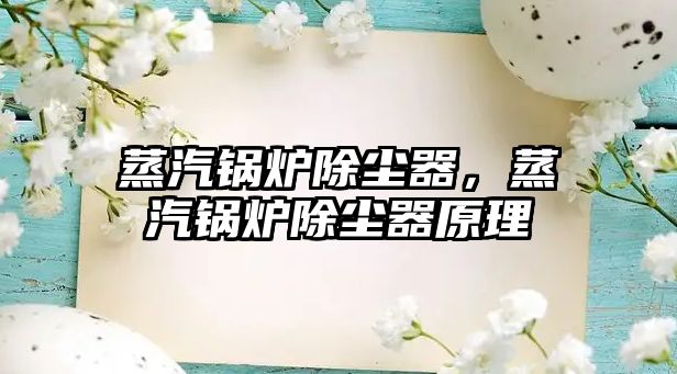 蒸汽鍋爐除塵器，蒸汽鍋爐除塵器原理