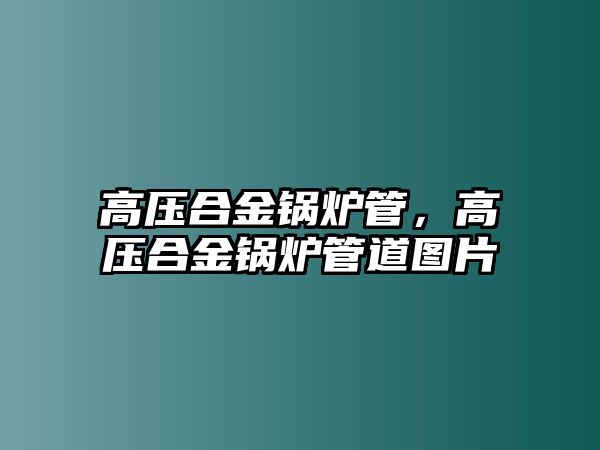 高壓合金鍋爐管，高壓合金鍋爐管道圖片
