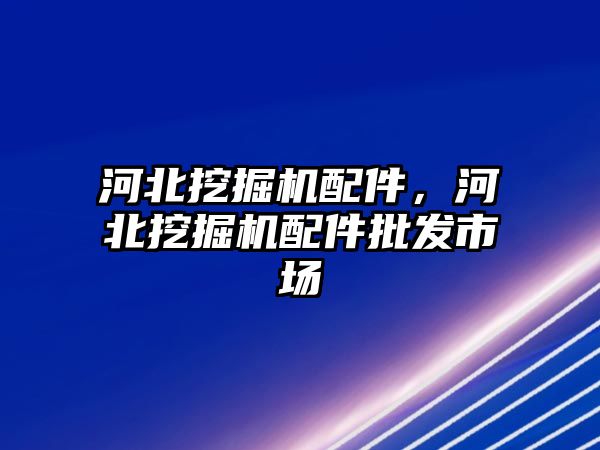 河北挖掘機(jī)配件，河北挖掘機(jī)配件批發(fā)市場