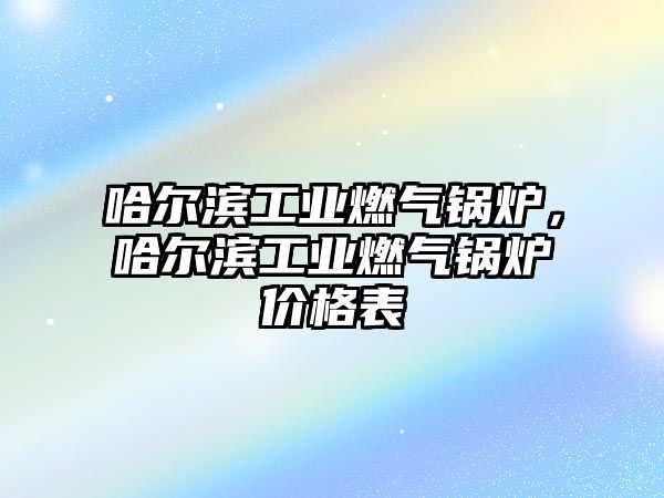 哈爾濱工業(yè)燃?xì)忮仩t，哈爾濱工業(yè)燃?xì)忮仩t價(jià)格表