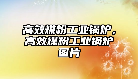 高效煤粉工業(yè)鍋爐，高效煤粉工業(yè)鍋爐圖片
