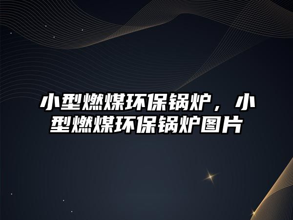 小型燃煤環(huán)保鍋爐，小型燃煤環(huán)保鍋爐圖片