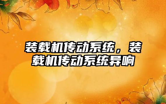 裝載機(jī)傳動(dòng)系統(tǒng)，裝載機(jī)傳動(dòng)系統(tǒng)異響