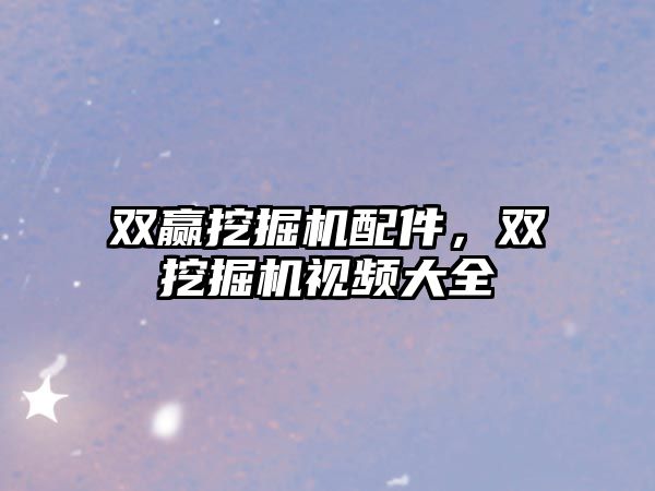 雙贏挖掘機配件，雙挖掘機視頻大全