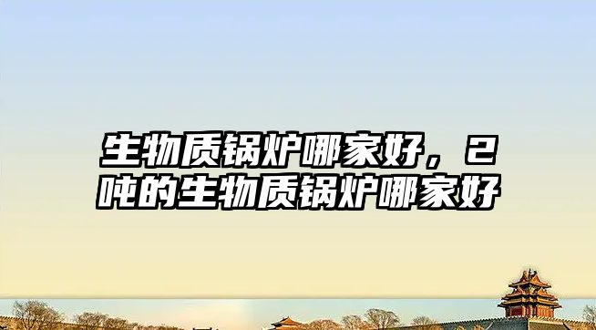 生物質(zhì)鍋爐哪家好，2噸的生物質(zhì)鍋爐哪家好