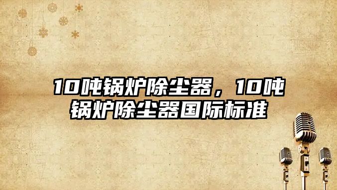 10噸鍋爐除塵器，10噸鍋爐除塵器國際標(biāo)準(zhǔn)