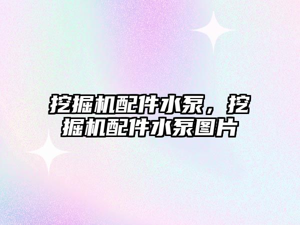挖掘機配件水泵，挖掘機配件水泵圖片
