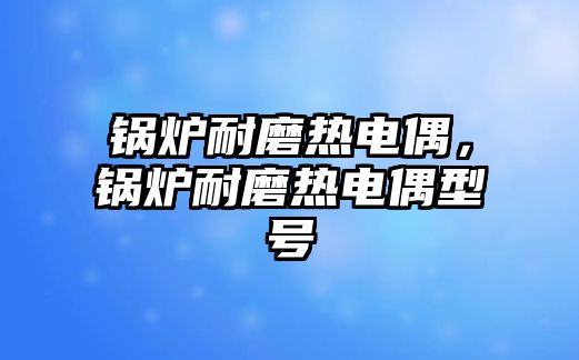 鍋爐耐磨熱電偶，鍋爐耐磨熱電偶型號(hào)