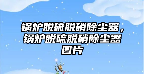 鍋爐脫硫脫硝除塵器，鍋爐脫硫脫硝除塵器圖片