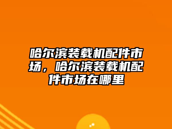 哈爾濱裝載機(jī)配件市場(chǎng)，哈爾濱裝載機(jī)配件市場(chǎng)在哪里