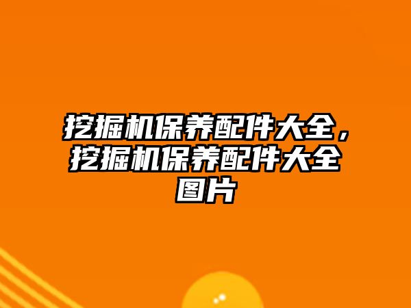 挖掘機保養(yǎng)配件大全，挖掘機保養(yǎng)配件大全圖片