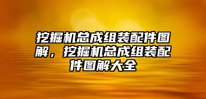 挖掘機(jī)總成組裝配件圖解，挖掘機(jī)總成組裝配件圖解大全