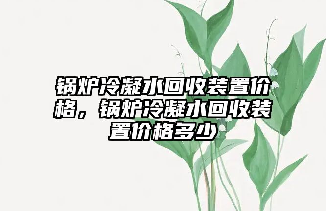 鍋爐冷凝水回收裝置價(jià)格，鍋爐冷凝水回收裝置價(jià)格多少