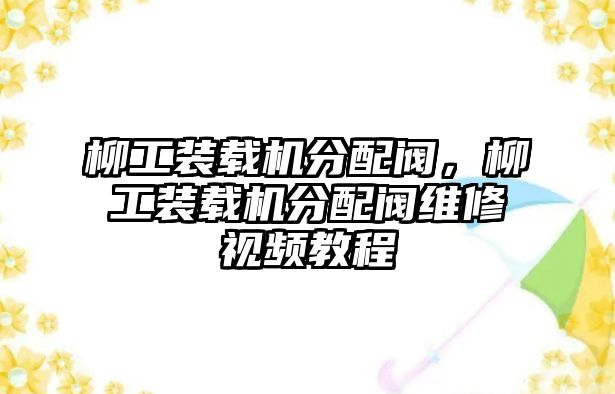 柳工裝載機(jī)分配閥，柳工裝載機(jī)分配閥維修視頻教程
