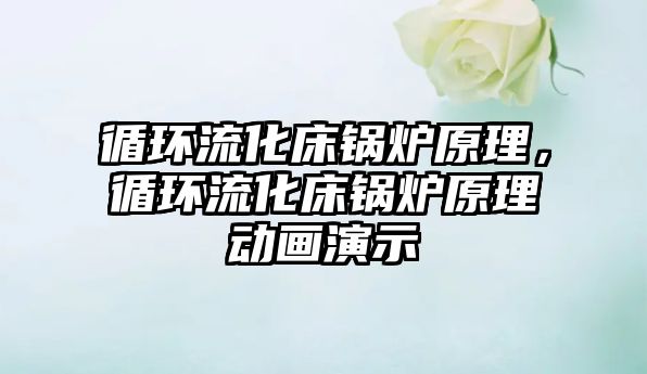 循環(huán)流化床鍋爐原理，循環(huán)流化床鍋爐原理動畫演示