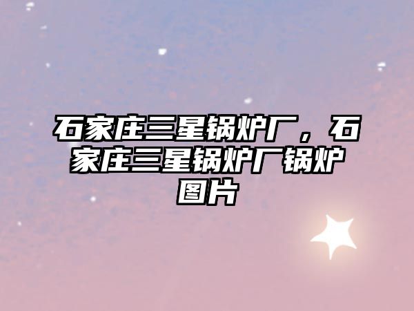 石家莊三星鍋爐廠，石家莊三星鍋爐廠鍋爐圖片